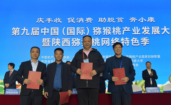 bobty综合体育:重庆市猕猴桃产业协会成立 抱团发展打造区域品牌