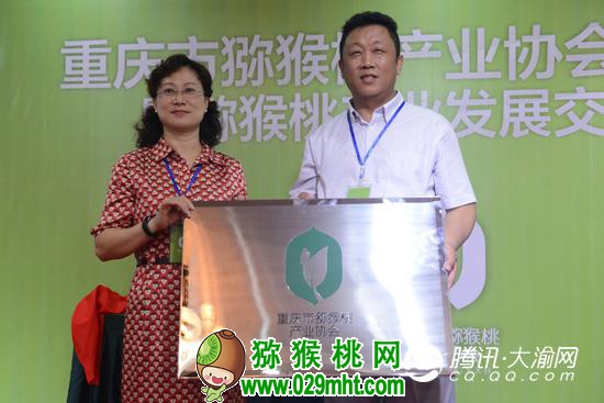 bobty综合体育:重庆市猕猴桃产业协会成立 抱团发展打造区域品牌